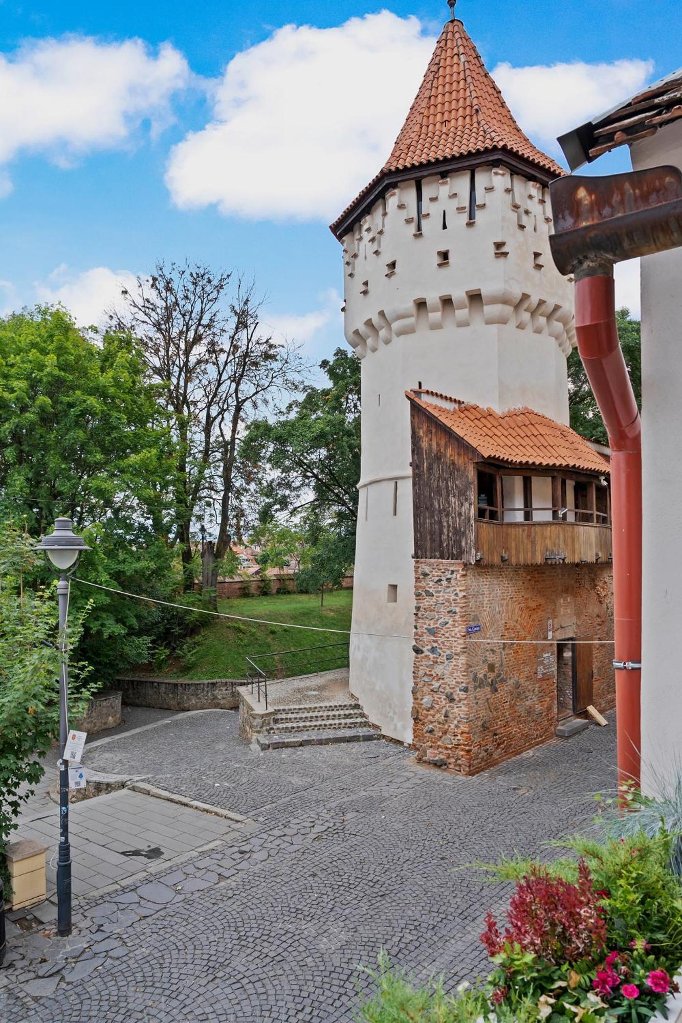 Gela'S Terrace Apartment Сібіу Екстер'єр фото