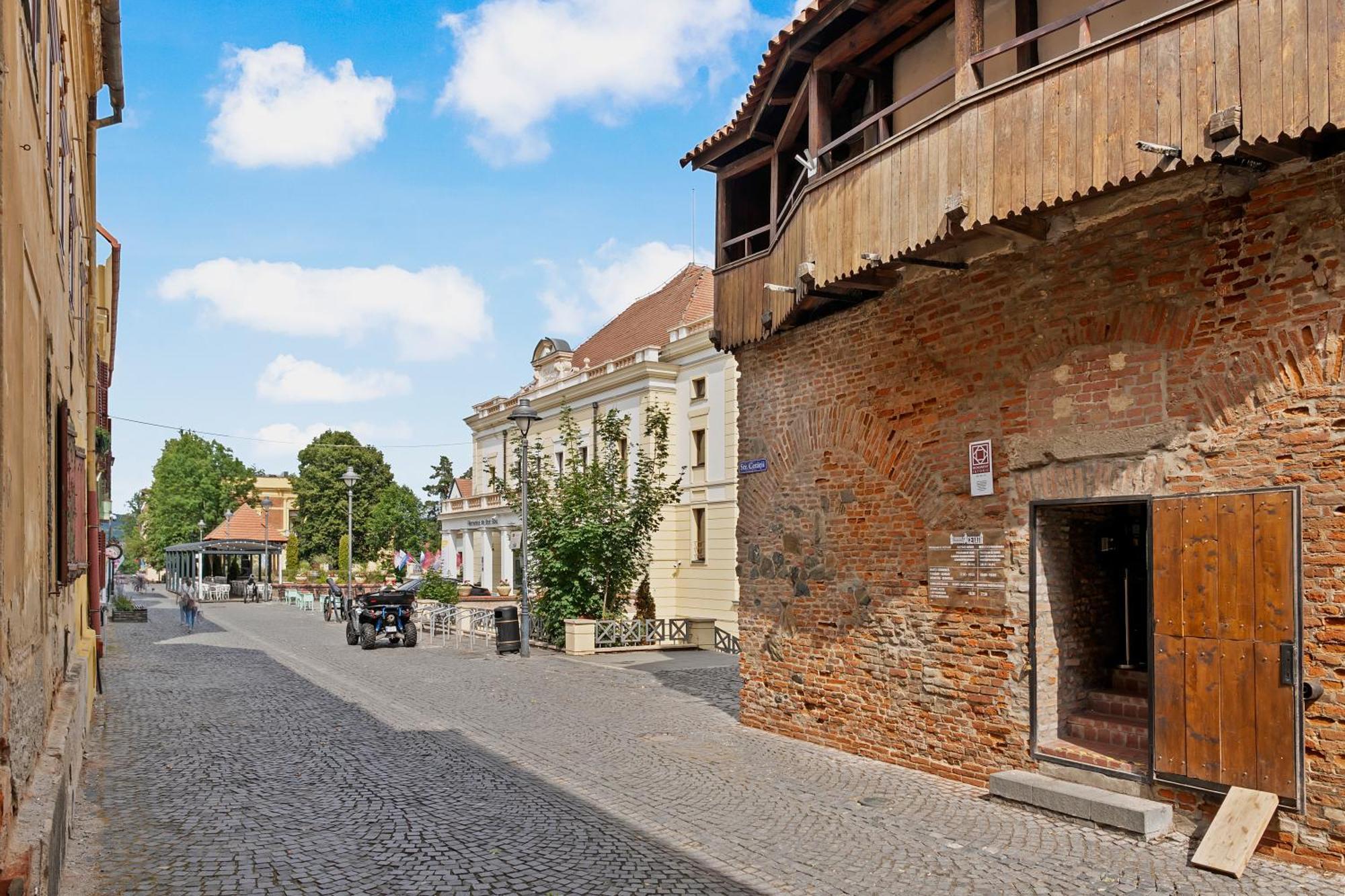Gela'S Terrace Apartment Сібіу Екстер'єр фото